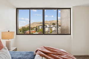 Mountain View from bedroom.