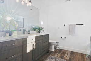 Bathroom featuring dark wood-type flooring and vanity