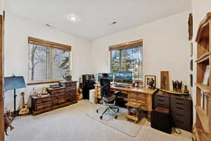 View of carpeted office