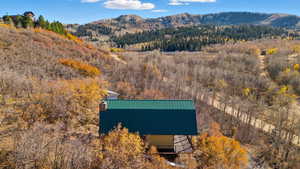 View from above of property with a mountainous background and a forest