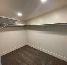 Spacious closet featuring dark carpet