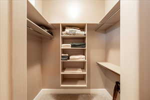 Walk in closet featuring light colored carpet