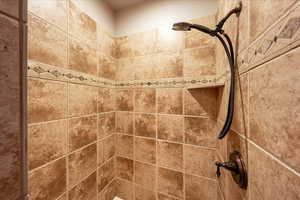 Guest Suite Bathroom view of tiled shower