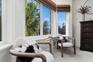 Sitting room with light carpet and baseboards