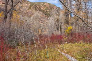 View of undeveloped land with mountains