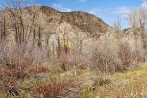 View of mountain background