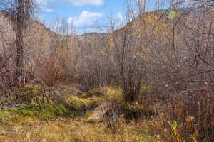 View of mountain backdrop