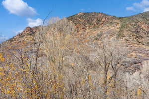 View of mountain background