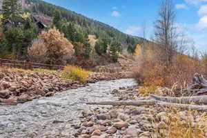 View of mountain backdrop featuring a heavily wooded area