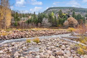 View of yard featuring a view of trees and a mountain view