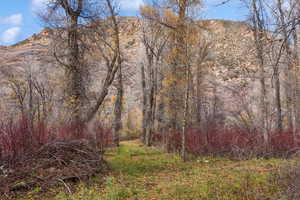 View of undeveloped land with a mountainous background