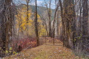Gate with a forest view