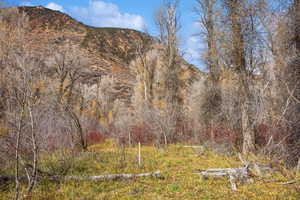 View of mountain background