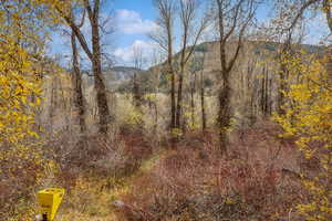 View of tree filled area featuring a mountain view
