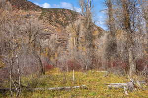 View of mountain background