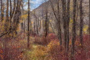 View of nature featuring mountains