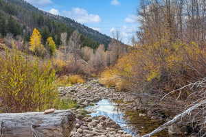 View of mountain background featuring a heavily wooded area