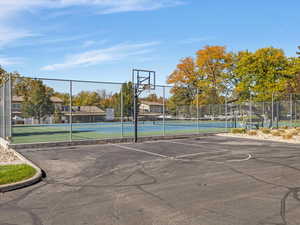 Basketball Court
