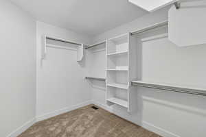 Spacious closet featuring light colored carpet