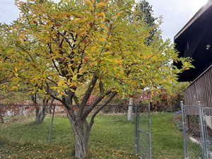 View of yard featuring a gate
