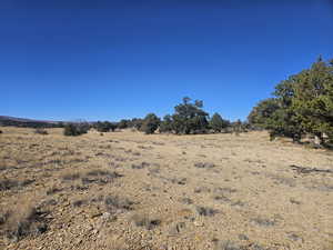 Beautiful Property Views - tons of trees & flat areas!