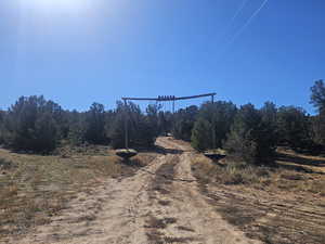 Front Driveway Entrance to Property!