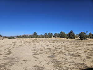 Beautiful Property Views - tons of trees & flat areas!