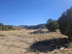 Beautiful Property Views - tons of trees & flat areas!