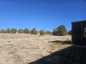 Beautiful Property Views - tons of trees & flat areas!