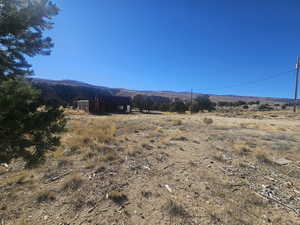 Beautiful Property Views - tons of trees & flat areas!
