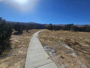 Beautiful Sidewalk Leading to Lookout & Covered Patio!