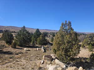 Beautiful Property Views - tons of trees & flat areas!