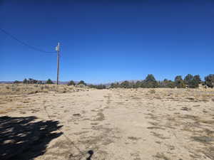 Beautiful Property Views - tons of trees & flat areas!