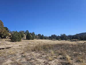 Beautiful Property Views - tons of trees & flat areas!