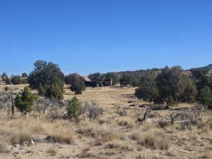 Beautiful Property Views - tons of trees & flat areas!