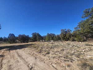 Beautiful Property Views - tons of trees & flat areas!