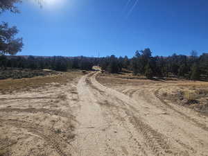 Front Driveway Entrance to Property!