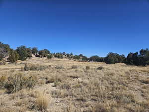 Beautiful Property Views - tons of trees & flat areas!