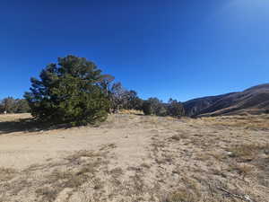 Beautiful Property Views - tons of trees & flat areas!