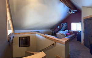 Staircase featuring carpet and ceiling fan