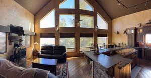 Living area with dark wood-style flooring, high vaulted ceiling, healthy amount of natural light, and rail lighting