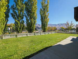 SE Perspective of Large Rear Yard