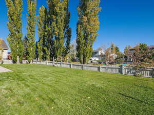 NE Perspective of Rear yard