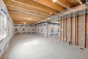 View of unfinished basement