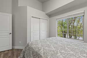 Bedroom with dark wood-type flooring and a closet