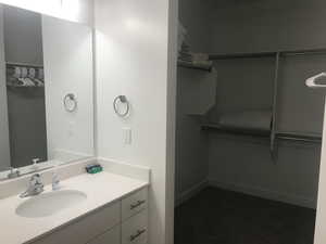 Bathroom featuring a walk in closet and vanity