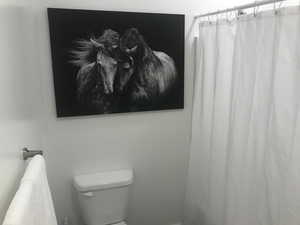 Bathroom with a shower with curtain and toilet