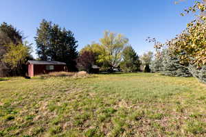 View of grassy yard featuring an outbuilding