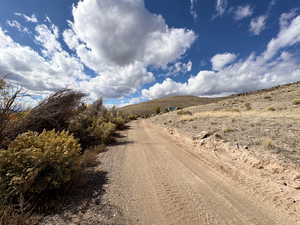 View of dirt / gravel road