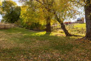 View of yard featuring a view of countryside